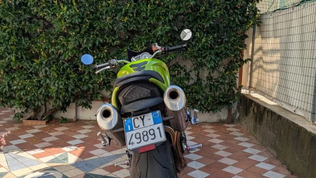 Triumph Speed Triple 1050 (2005 - 11)  (3)