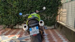 Triumph Speed Triple 1050 (2005 - 11)  (3)