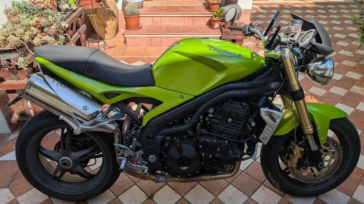 Triumph Speed Triple 1050 (2005 - 11)  (4)