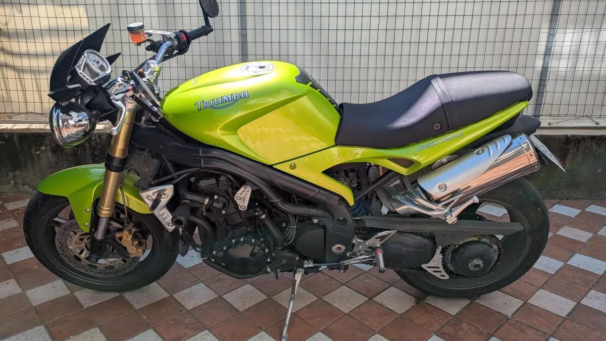 Triumph Speed Triple 1050 (2005 - 11)  (5)