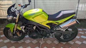 Triumph Speed Triple 1050 (2005 - 11)  (5)