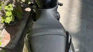Triumph Street Triple (2007 - 12)  (3)