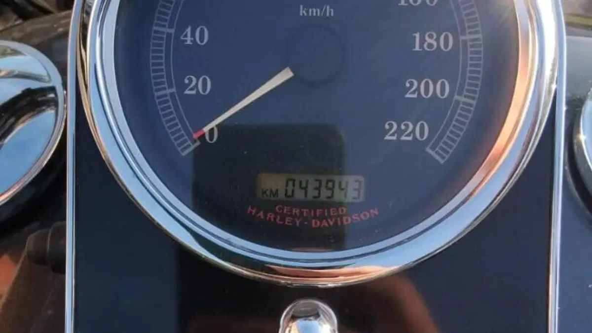 Harley-Davidson 1450 Deluxe (2005 - 06) - FLSTNI  (9)