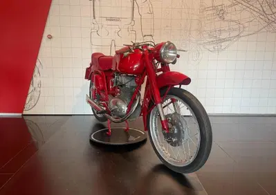 MV Agusta 175 CS Sport - Annuncio 10076970