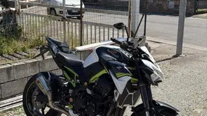 Kawasaki Z 900 (2020)  (2)