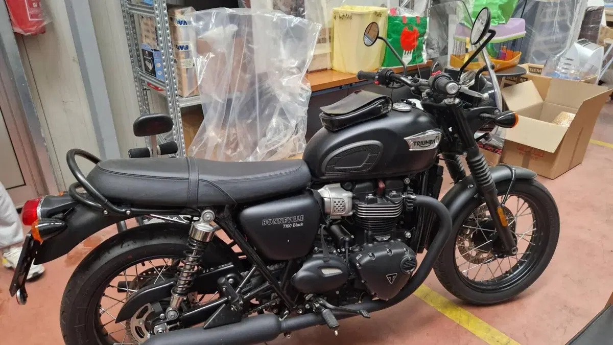 Triumph Bonneville T100 Black (2017 - 20)  (2)