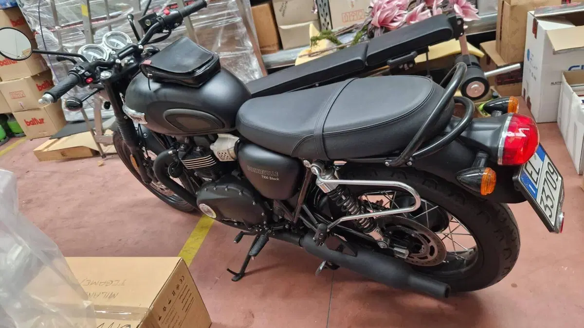 Triumph Bonneville T100 Black (2017 - 20)  (4)