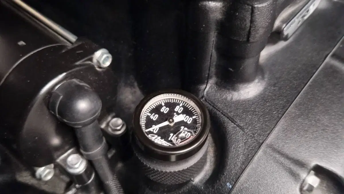 Triumph Bonneville T100 Black (2017 - 20)  (6)