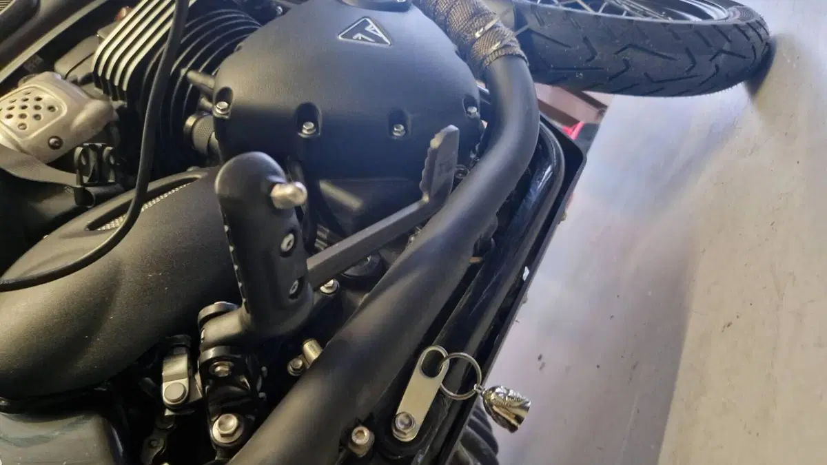 Triumph Bonneville T100 Black (2017 - 20)  (7)