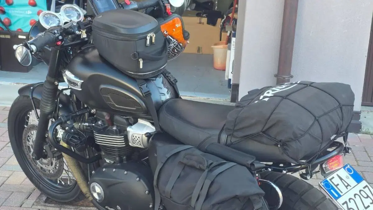 Triumph Bonneville T100 Black (2017 - 20)  (13)