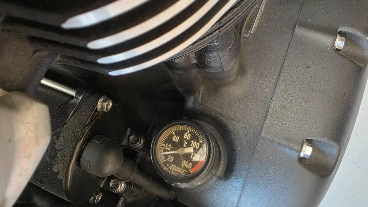 Triumph Bonneville T100 Black (2017 - 20)  (15)