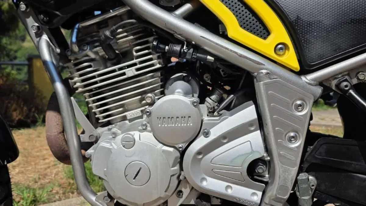 Yamaha Tricker  (6)
