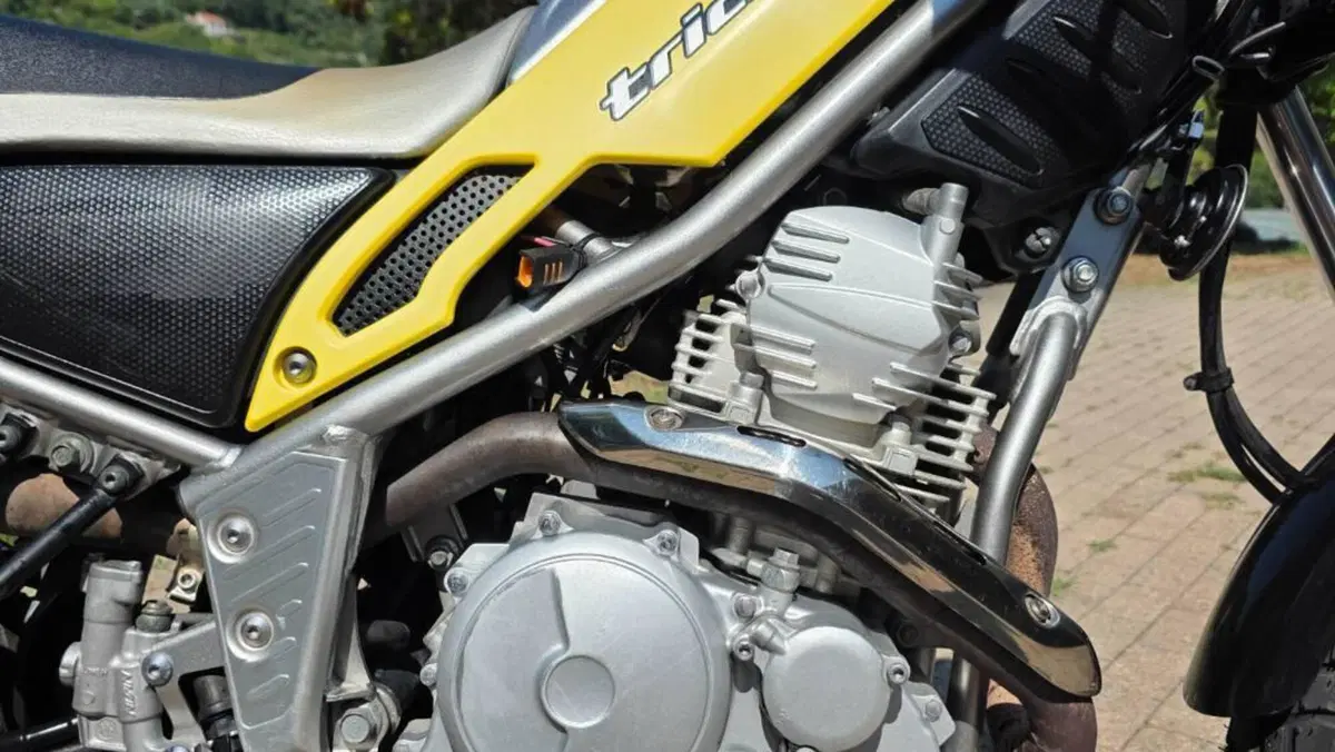 Yamaha Tricker  (11)