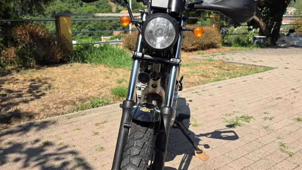Yamaha Tricker  (15)