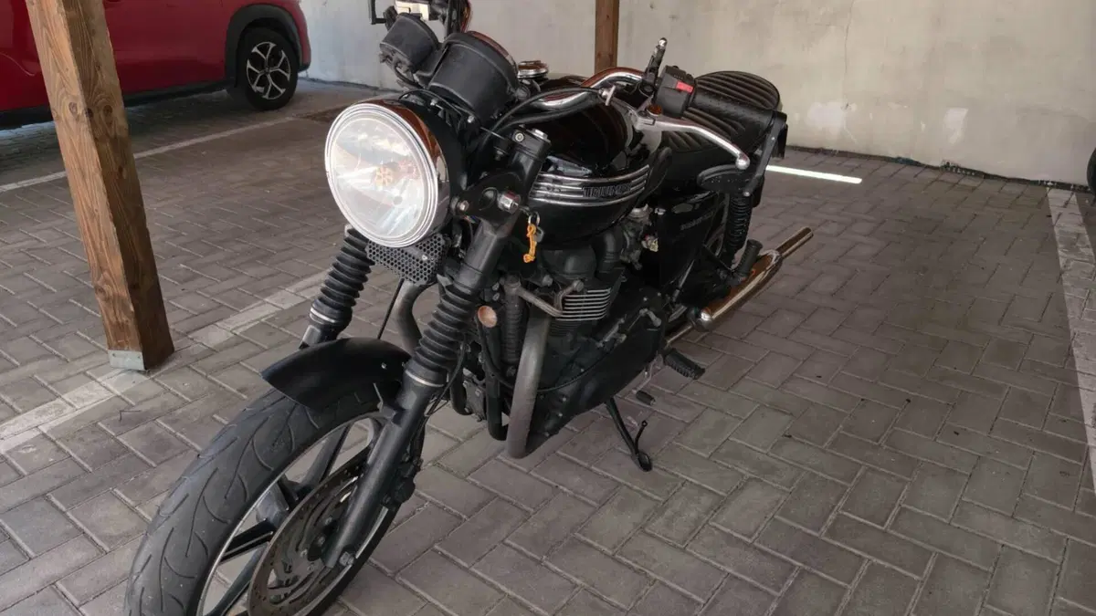 Triumph Bonneville SE (2009 - 13)  (5)