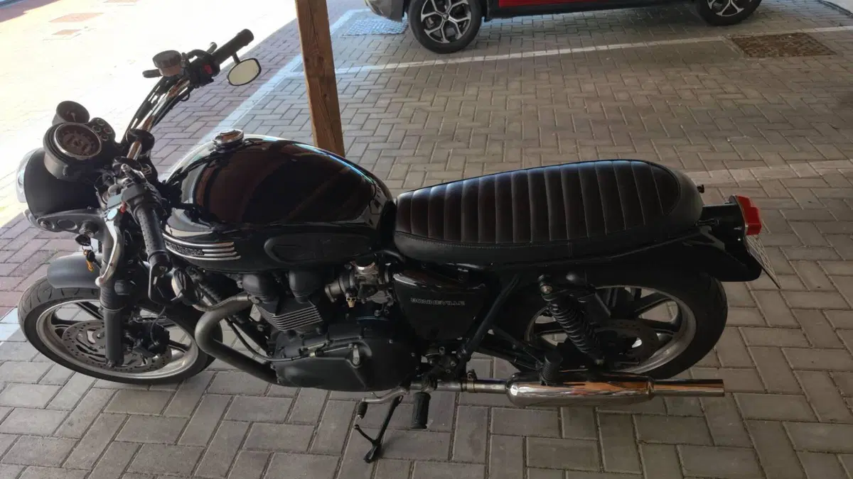 Triumph Bonneville SE (2009 - 13)  (6)