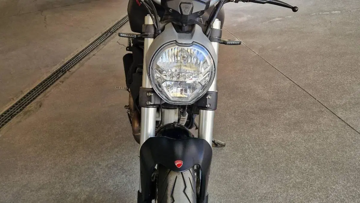 Ducati Monster 797 (2017 - 18)  (3)