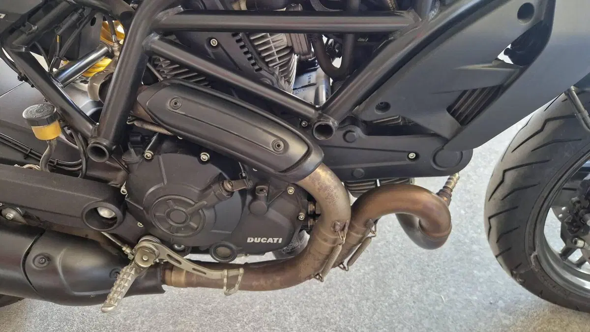 Ducati Monster 797 (2017 - 18)  (8)