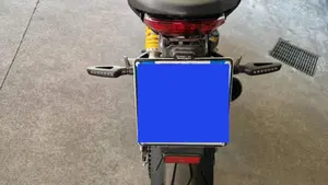 Ducati Monster 797 (2017 - 18)  (11)