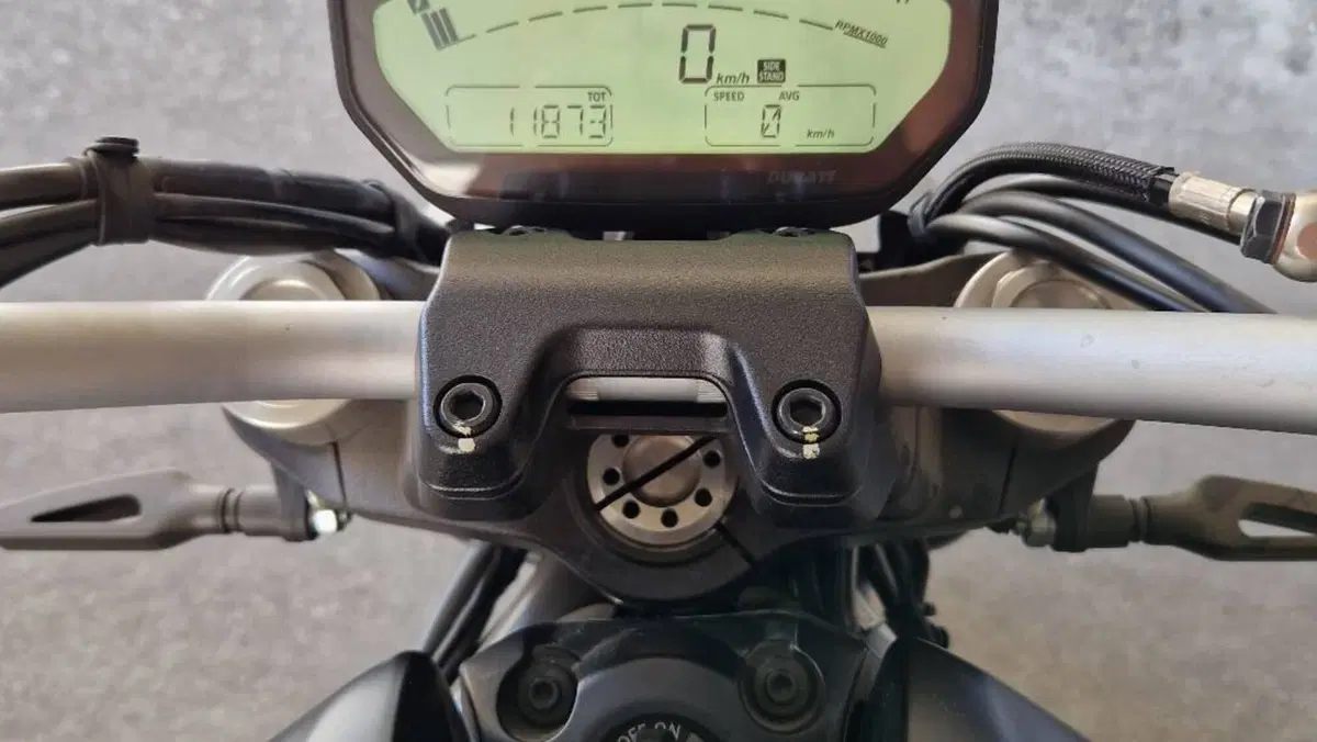 Ducati Monster 797 (2017 - 18)  (12)