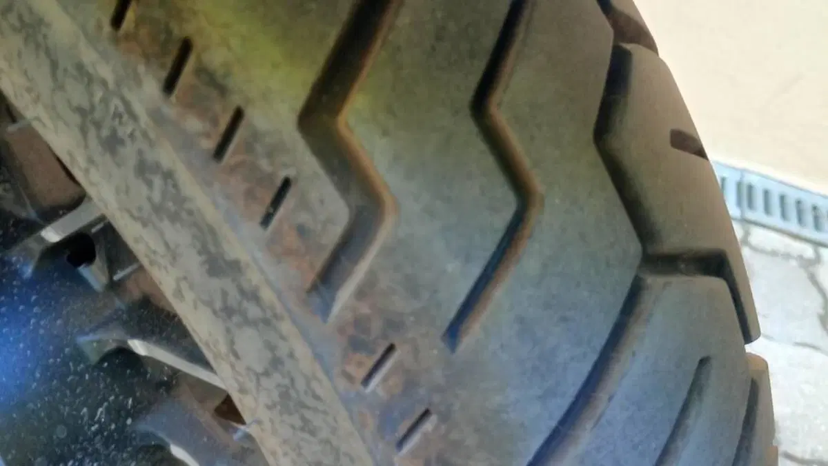 CFMOTO 450CL-C (2024 - 26)  (7)