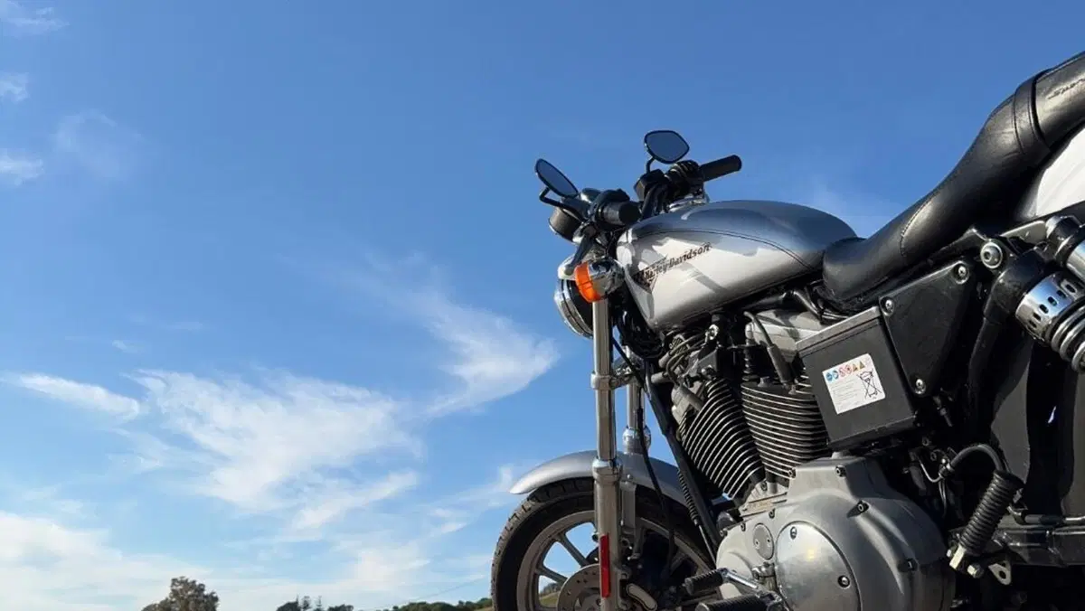 Harley-Davidson 1200 Sport (2001 - 03) - XL 1200S  (2)