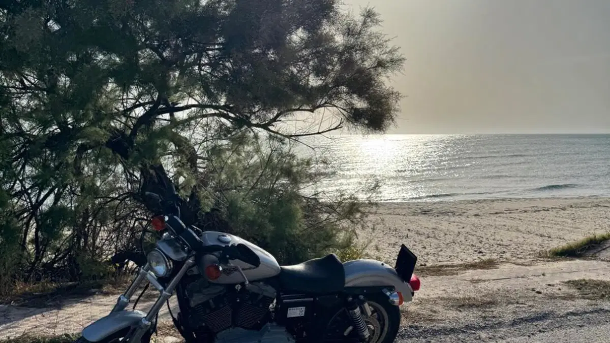 Harley-Davidson 1200 Sport (2001 - 03) - XL 1200S  (4)
