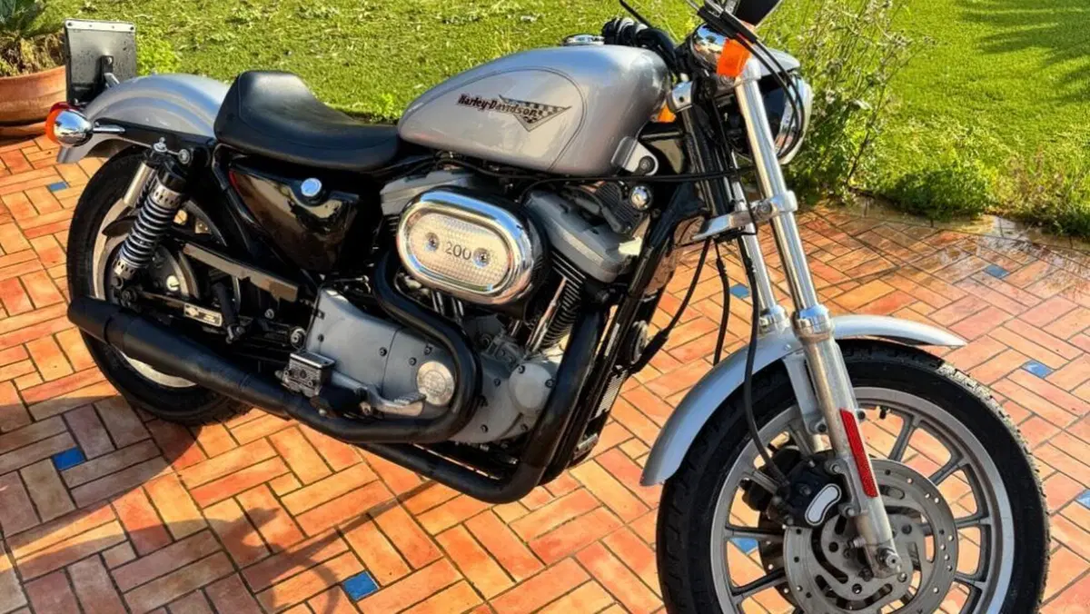 Harley-Davidson 1200 Sport (2001 - 03) - XL 1200S  (6)