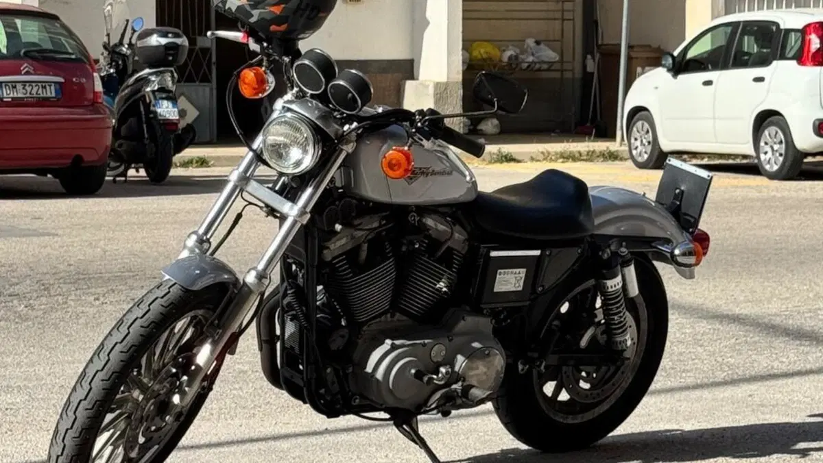 Harley-Davidson 1200 Sport (2001 - 03) - XL 1200S  (8)