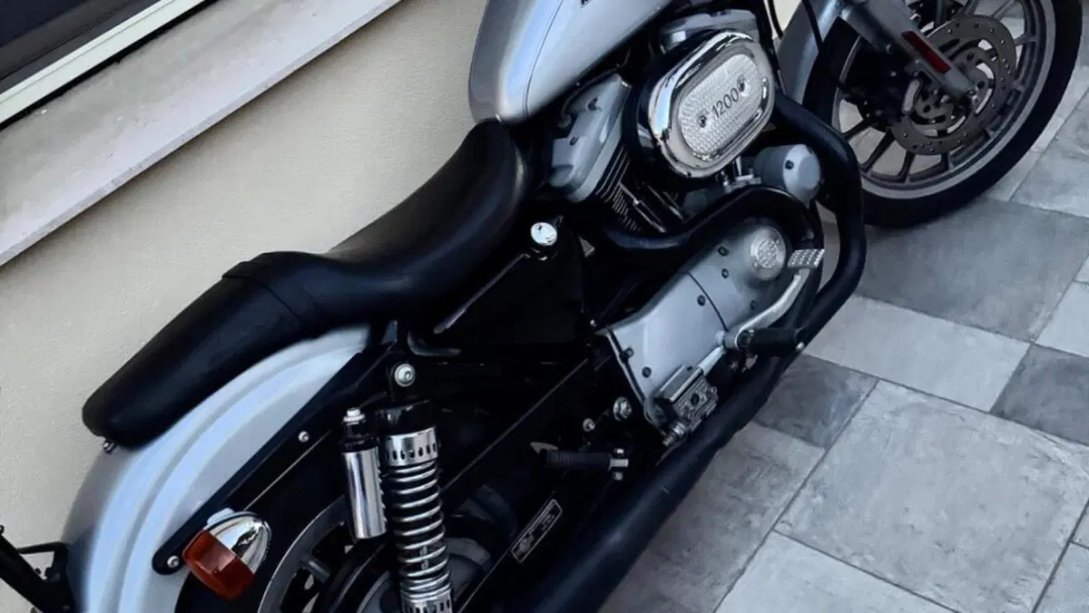 Harley-Davidson 1200 Sport (2001 - 03) - XL 1200S  (9)