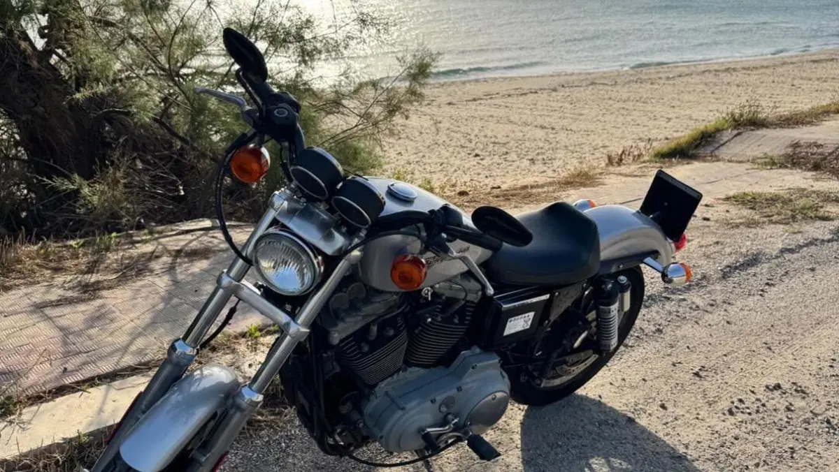 Harley-Davidson 1200 Sport (2001 - 03) - XL 1200S  (11)