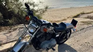 Harley-Davidson 1200 Sport (2001 - 03) - XL 1200S  (11)