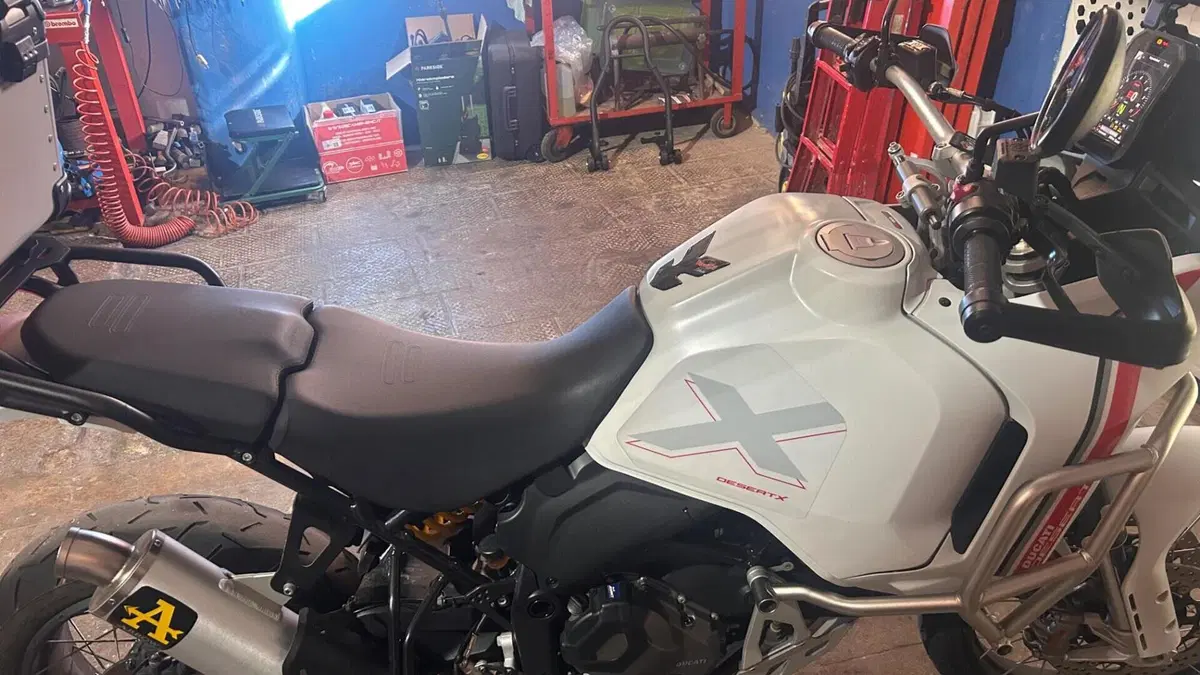 Ducati DesertX (2022 - 25)  (3)