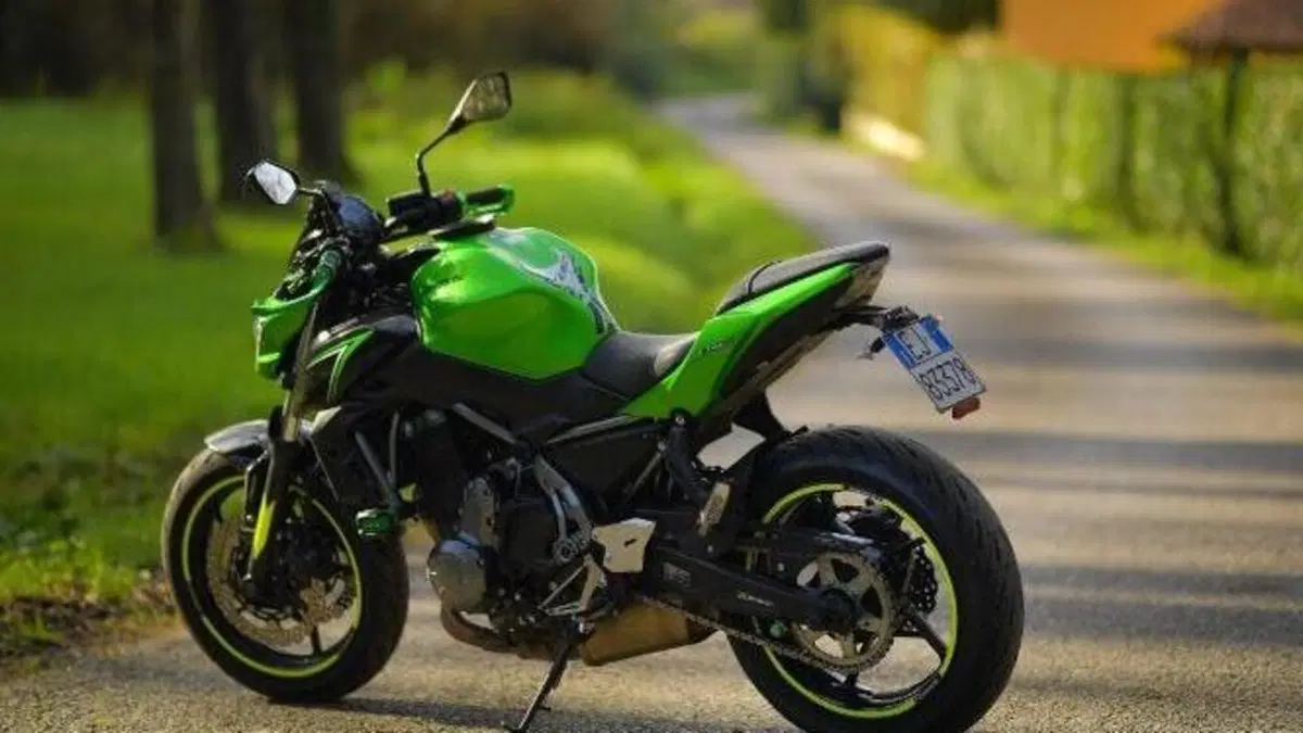 Kawasaki Z 650 (2017 - 19)  (4)