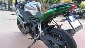 Benelli BN 302 (2017 - 19)  (6)