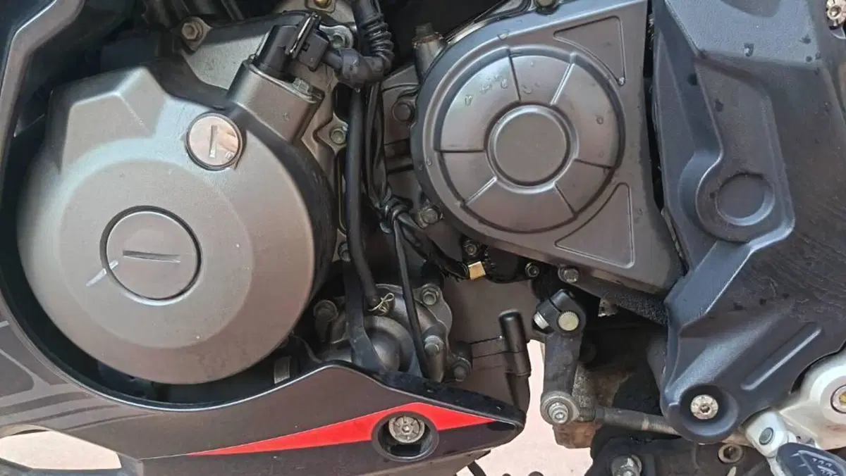 Benelli BN 302 (2017 - 19)  (8)