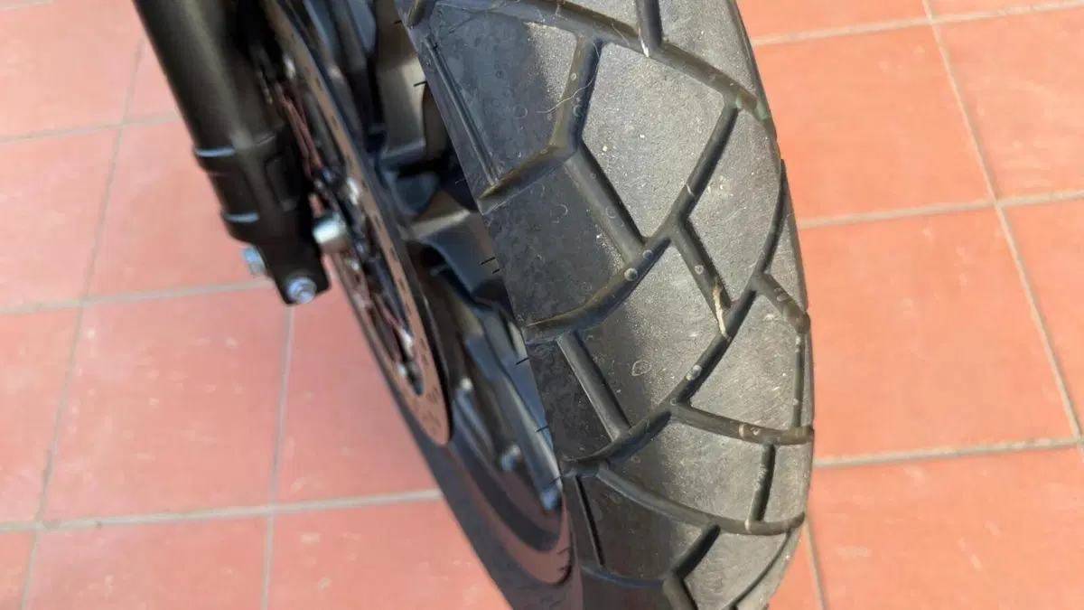 Honda CL500 (2023 - 24)  (4)