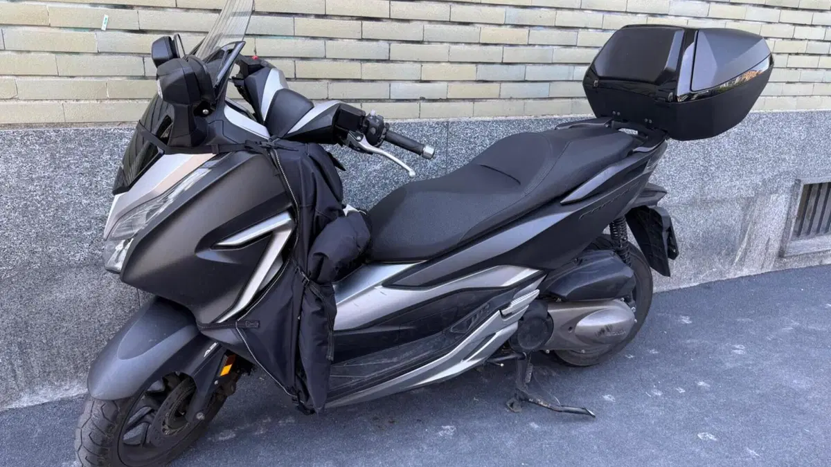 Honda Forza 300 Deluxe ABS (2018 - 20) 