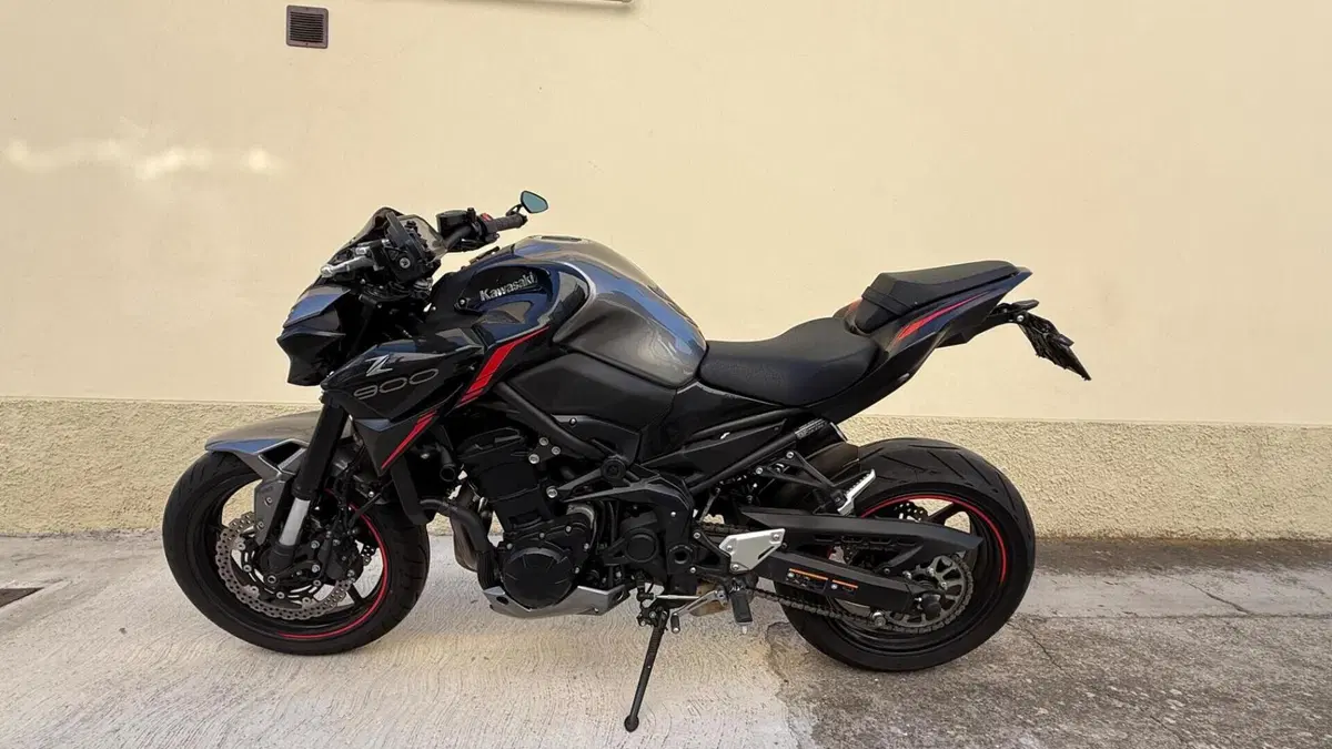 Kawasaki Z 900 (2021 - 24)  (2)