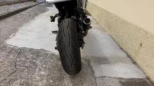 Kawasaki Z 900 (2021 - 24)  (6)