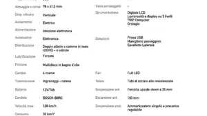 Voge Brivido 300R (2021 - 24)  (4)
