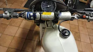 Husqvarna   (4)