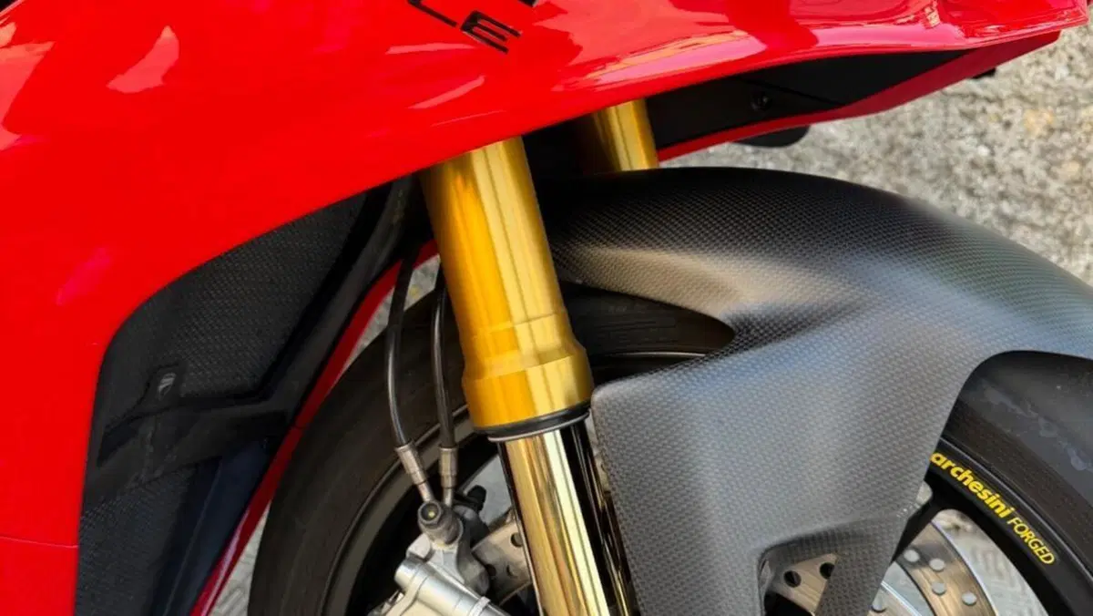Ducati Panigale V4 S (2022 - 24)  (15)