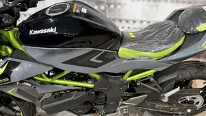 Kawasaki Z 125 (2025 - 26)  (4)