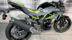 Kawasaki Z 125 (2025 - 26)  (5)