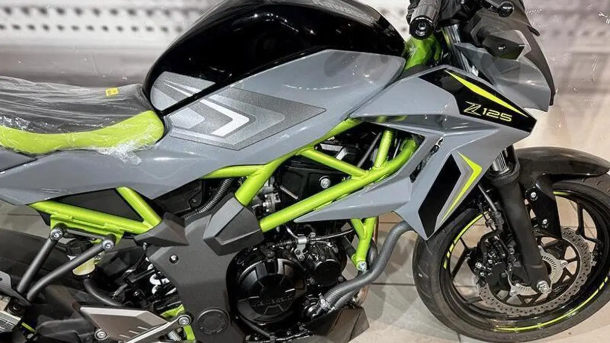 Kawasaki Z 125 (2025 - 26)  (6)