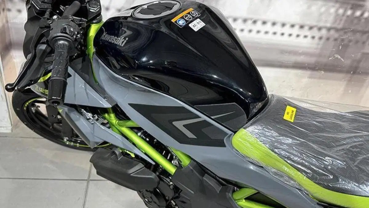 Kawasaki Z 125 (2025 - 26)  (9)