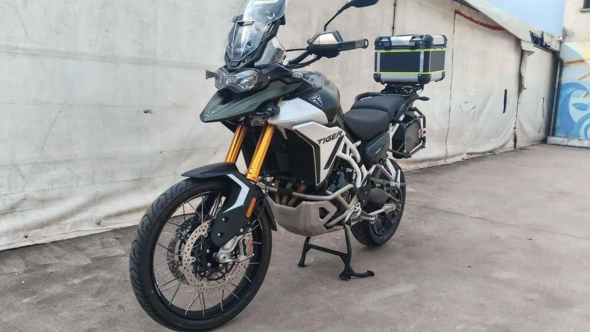 Triumph Tiger 900 Rally Pro (2024 - 26) 