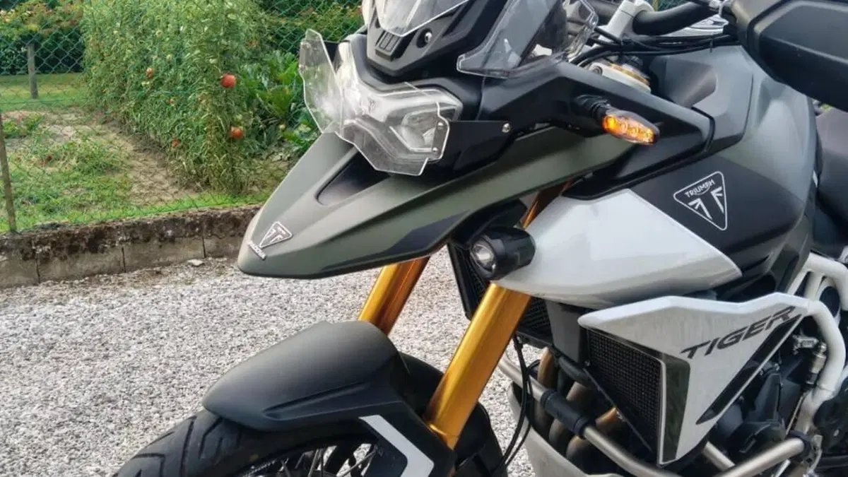 Triumph Tiger 900 Rally Pro (2024 - 26)  (2)