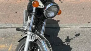 Suzuki TU 250 X (1997 - 03)  (4)